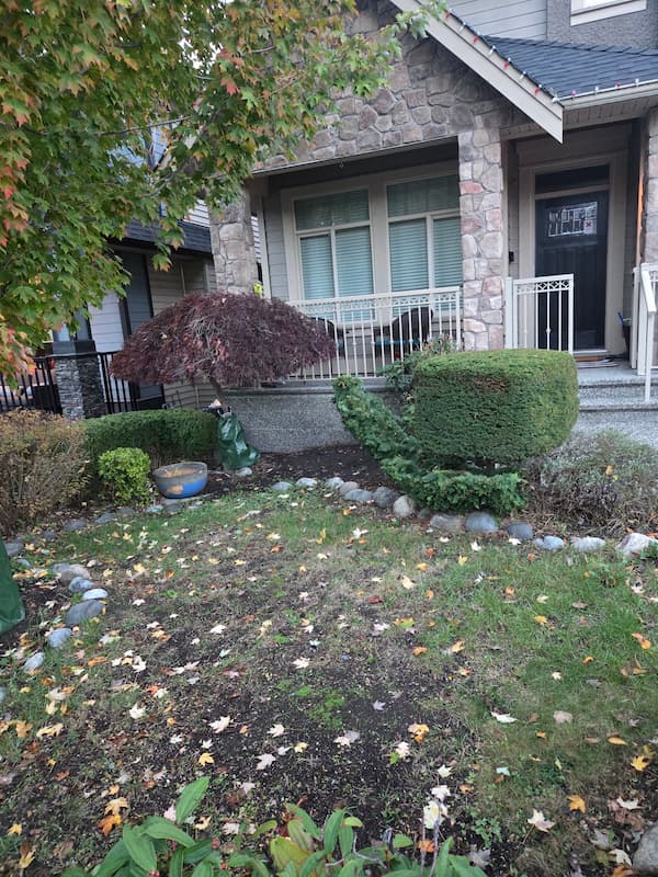 Before Landscape Design