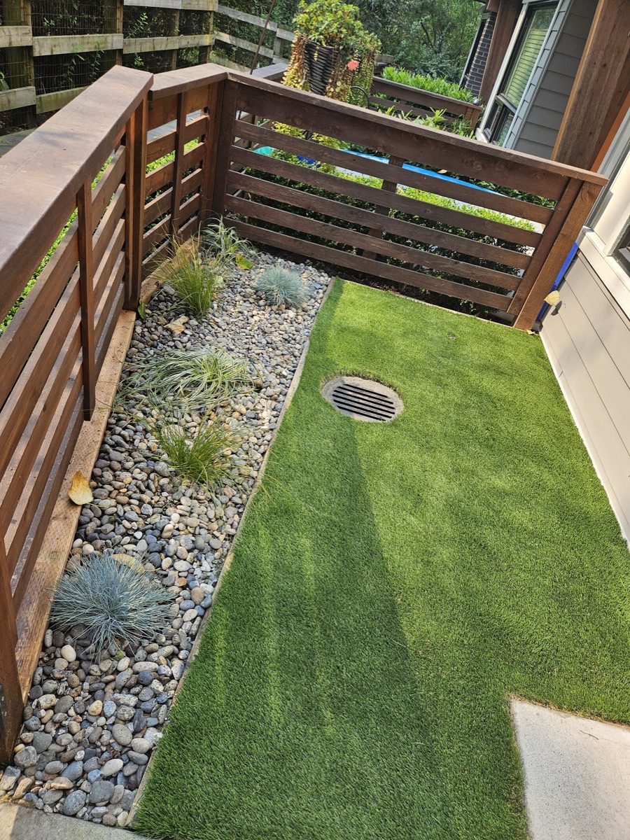 Artificial turf strip with a river-rock border and ornamental grasses in Langley