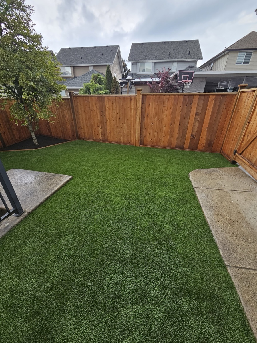 Backyard artificial turf lawn with a paver border and cedar fence in Langley